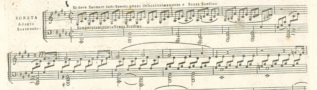 Beethoven op 27 no 2.1.jpeg