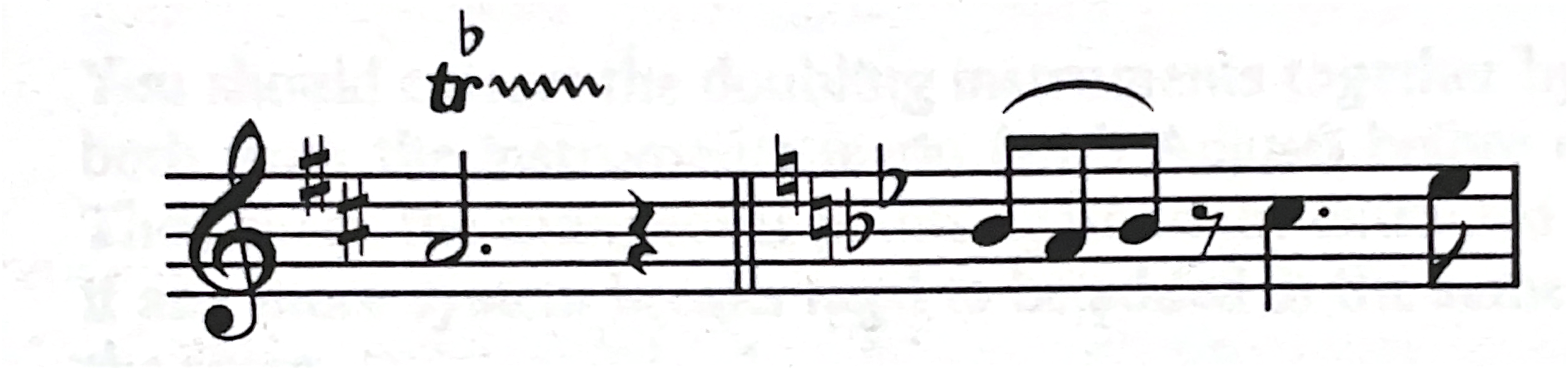 Sib. manual extract 1.png