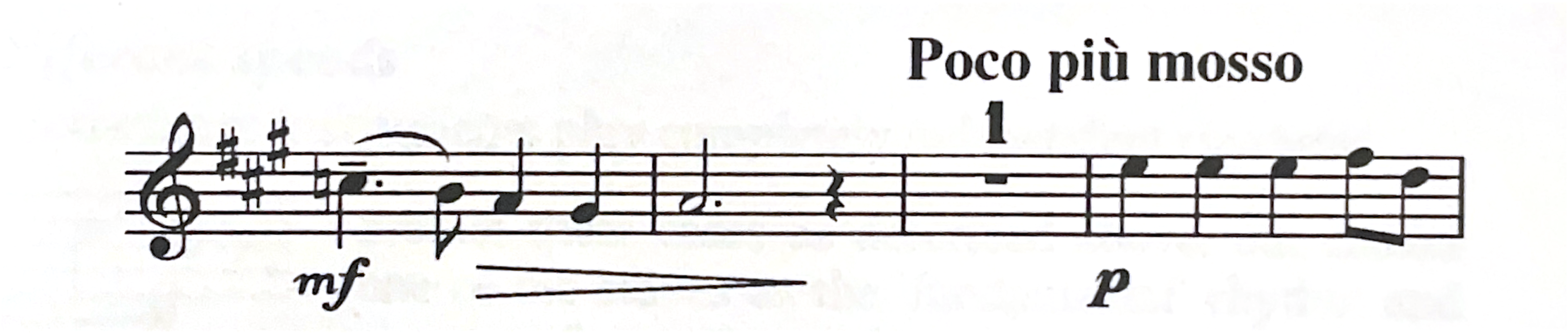 Sib. manual extract 2.png