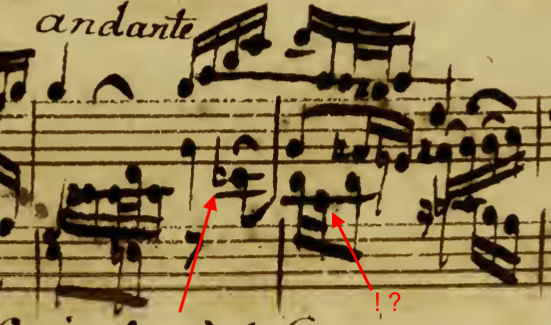 Goldberg copy.png
